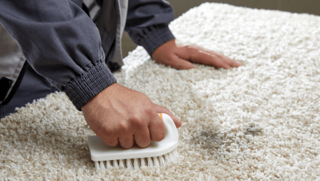 Professional Rug Cleaning Yuroke